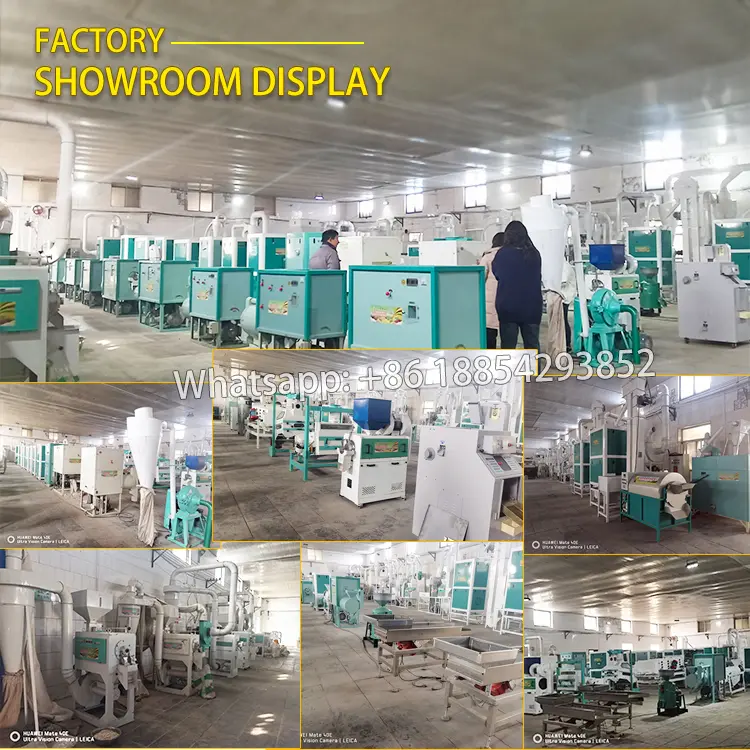 6FT-PB8A 1TPH soyabean pea peeling machine in Thailand